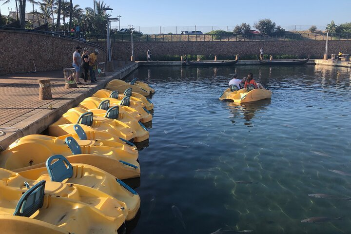 Pedal Boats on The Point Waterfront Canals